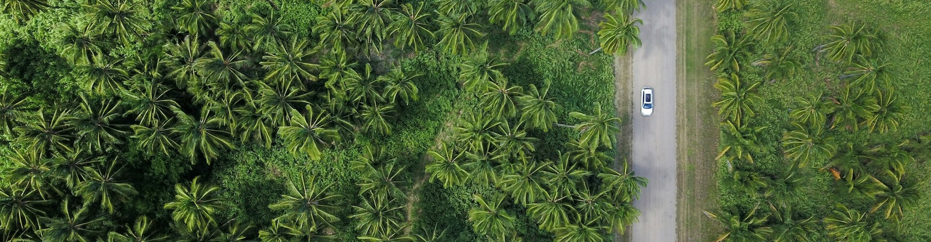 Carretera verde sostenible